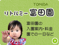 banner_tomida